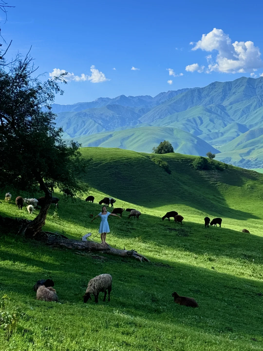 “在新疆拍到了我的人生live图~”