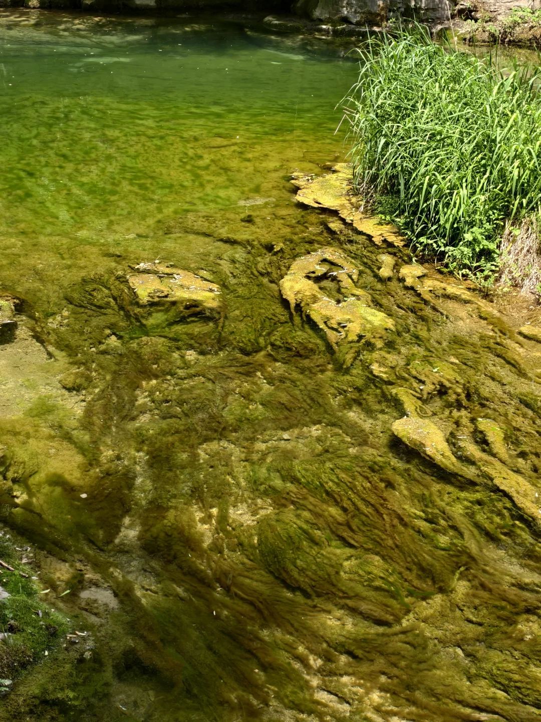 山西游第8天：八泉峡