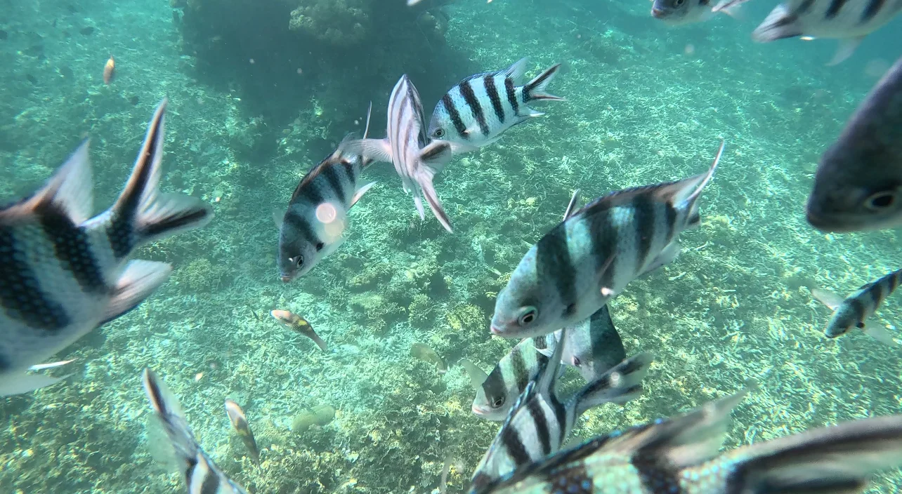 女生SOLO旅行亚庇经验分享