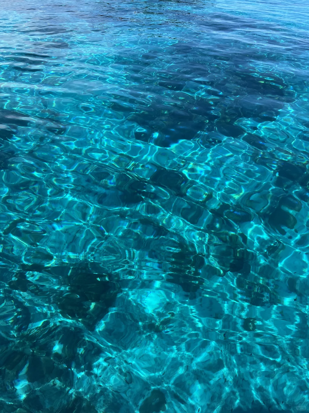 仙本那适合能吃苦的人（五一已回不删