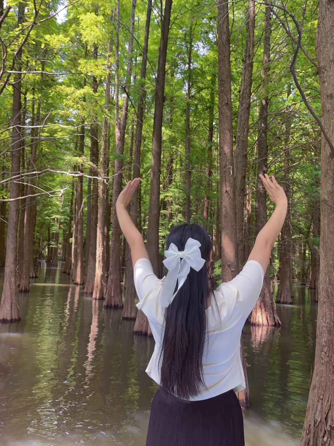 😭肇庆七星岩回来了，我的建议是……