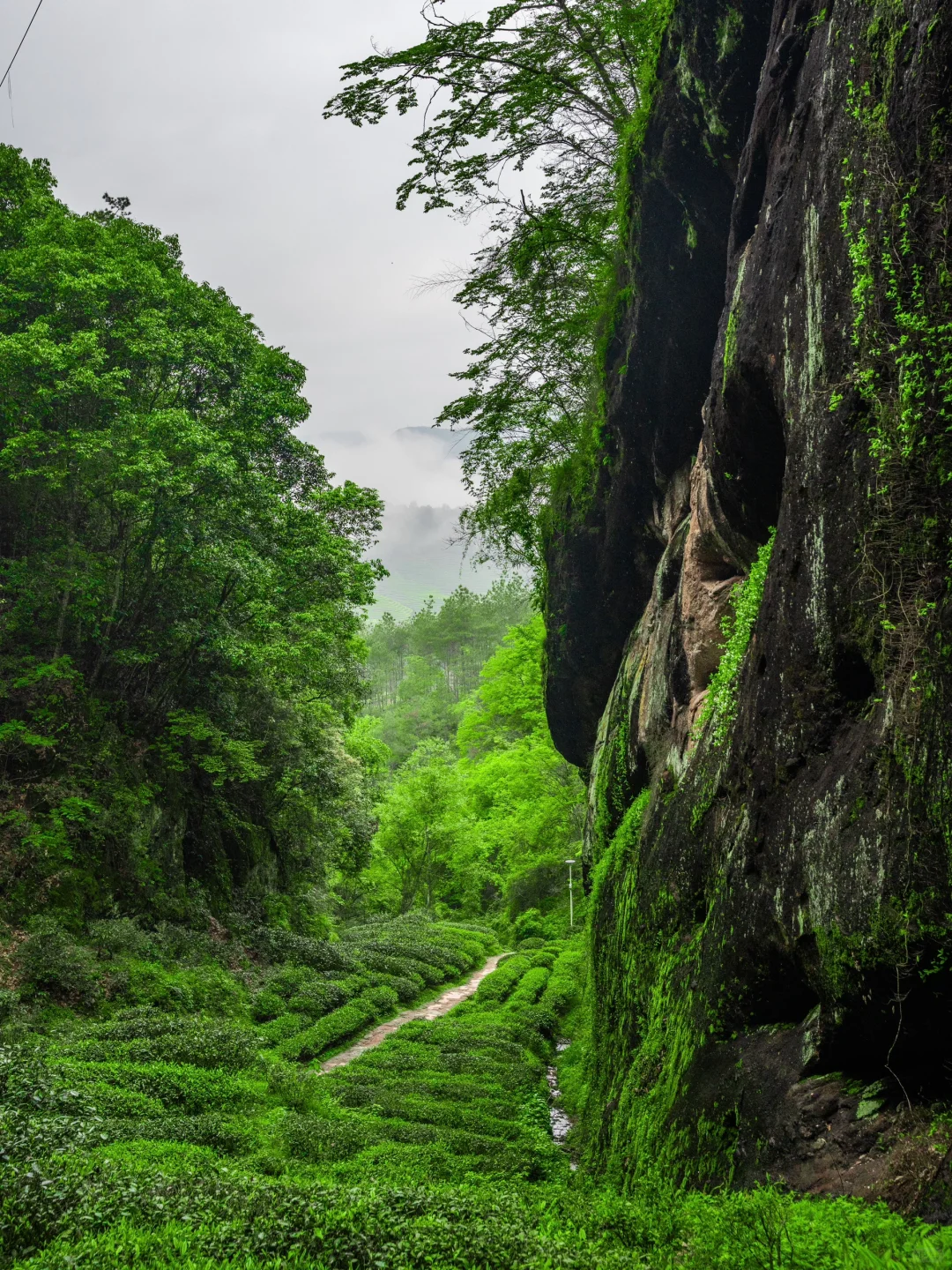 反向旅游天花板!江浙沪高铁2h直达人间仙境