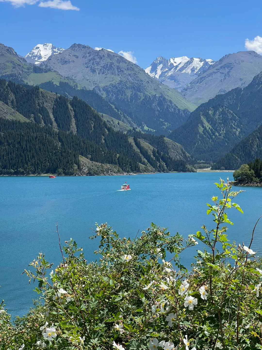 为什么今年大家都在劝退新疆？有这么糟糕吗？