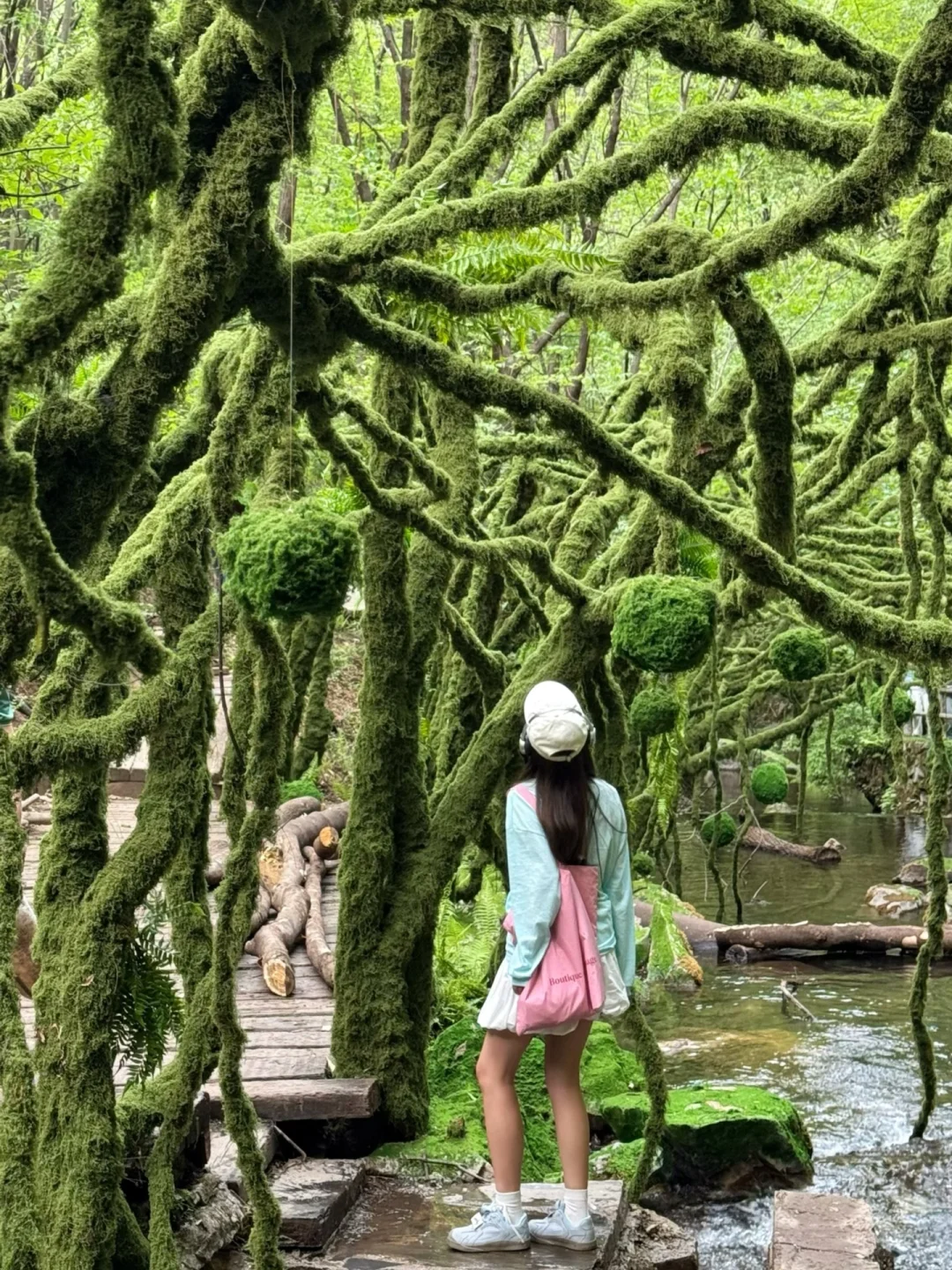 洛阳的花瀑也太浪漫了！！！！！