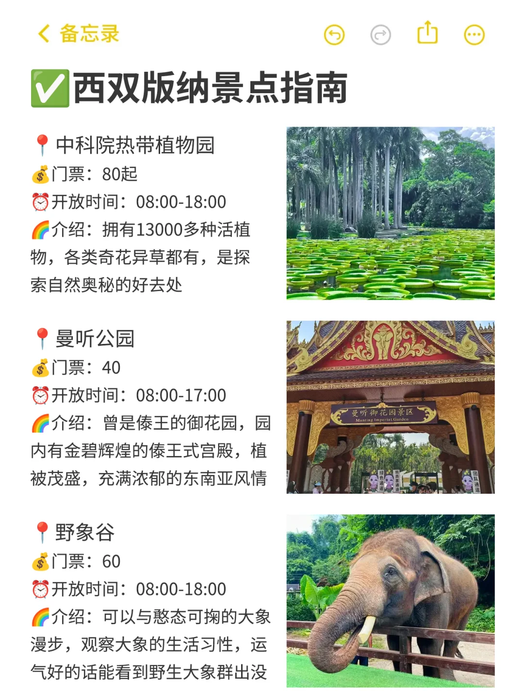 替大家试过了，西双版纳只适合玩三天