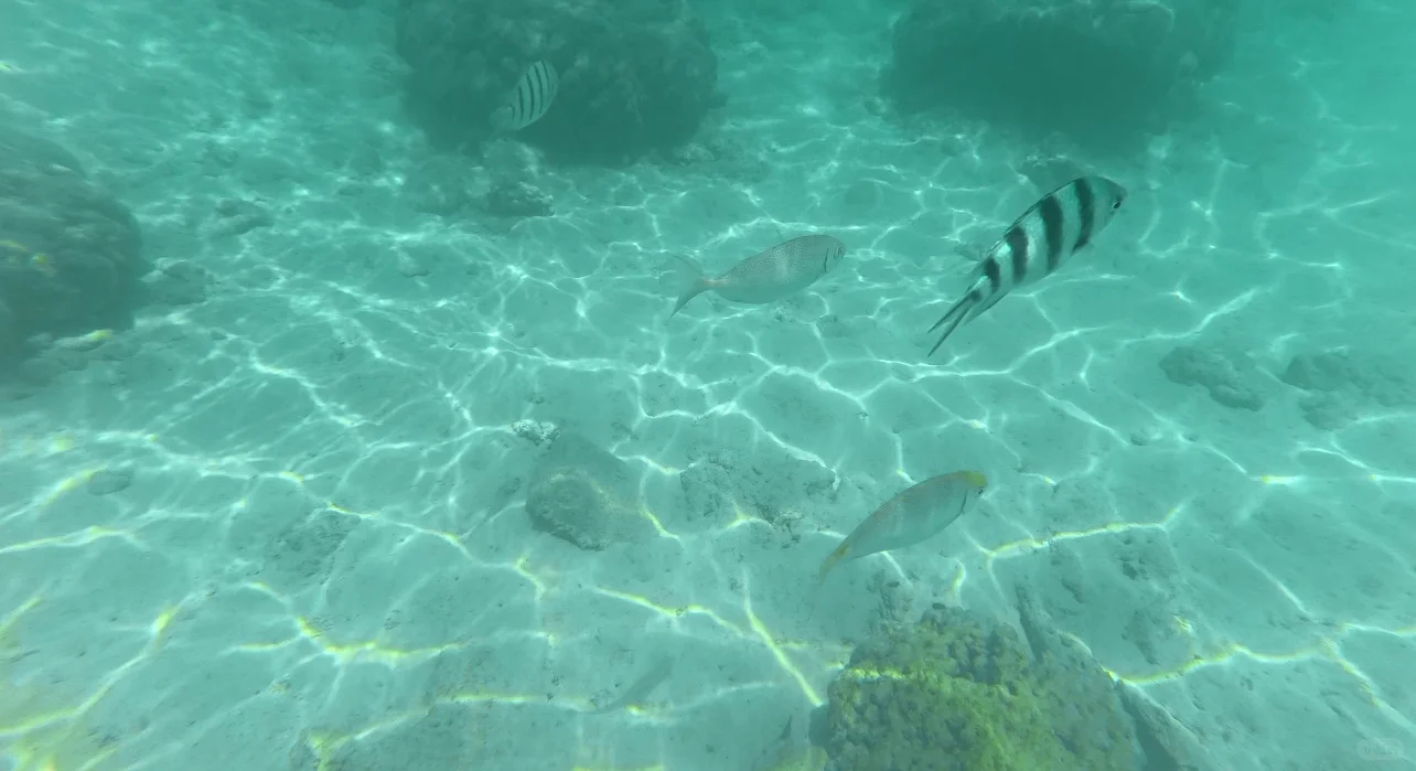 女生SOLO旅行亚庇经验分享