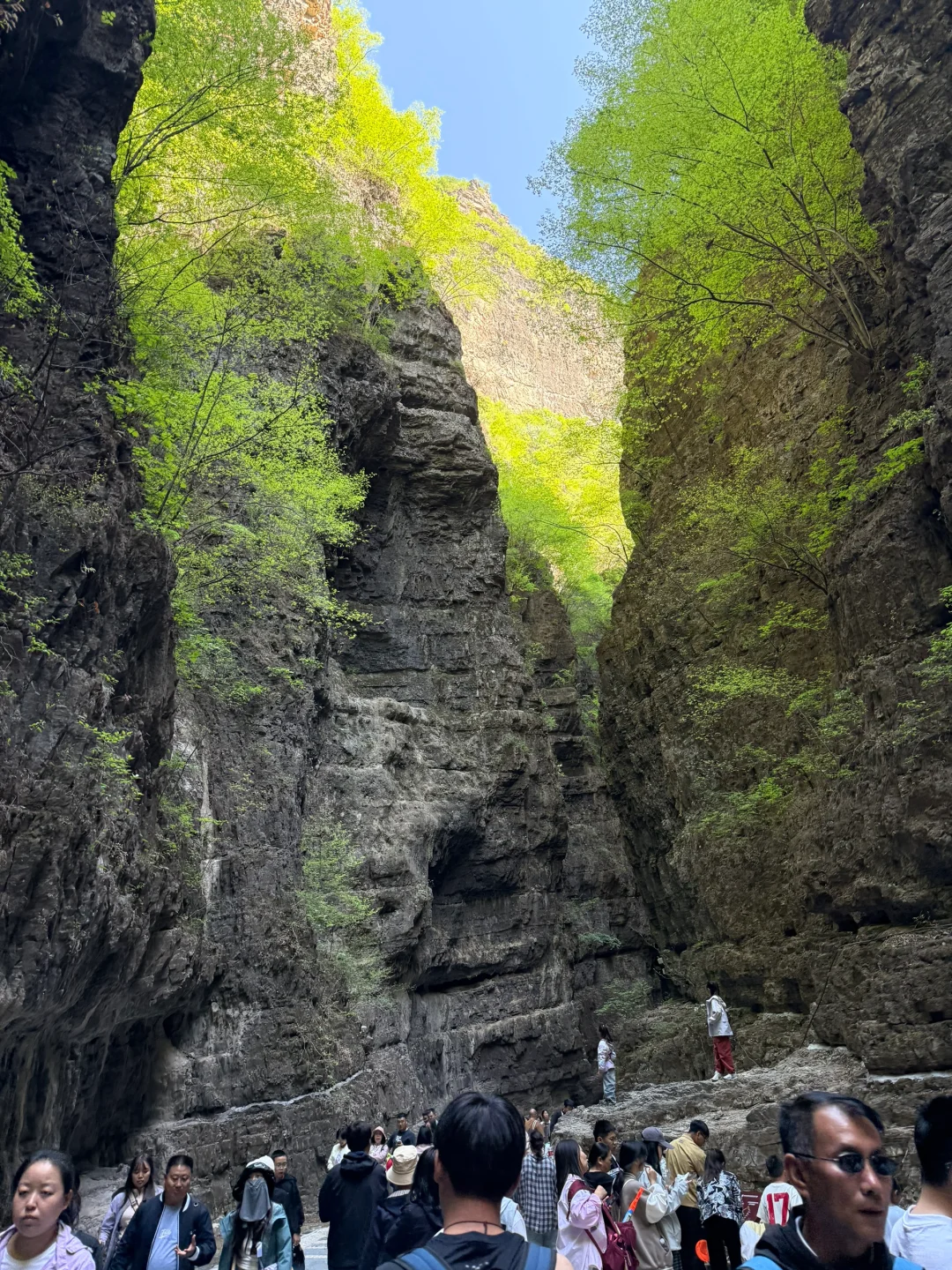 野三坡📍百里峡不会再去了 刘家河下次还来