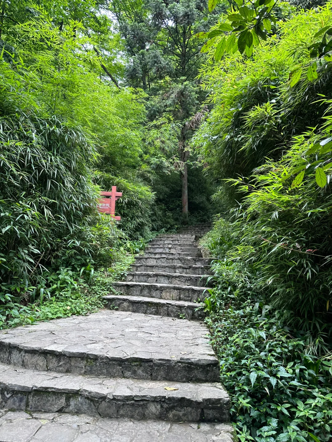 重庆周边一日游🌳向山而行