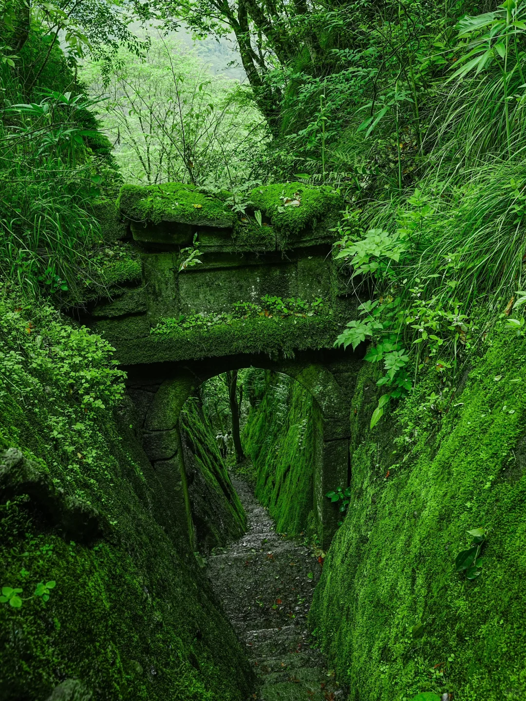 反向旅游天花板!江浙沪高铁2h直达人间仙境