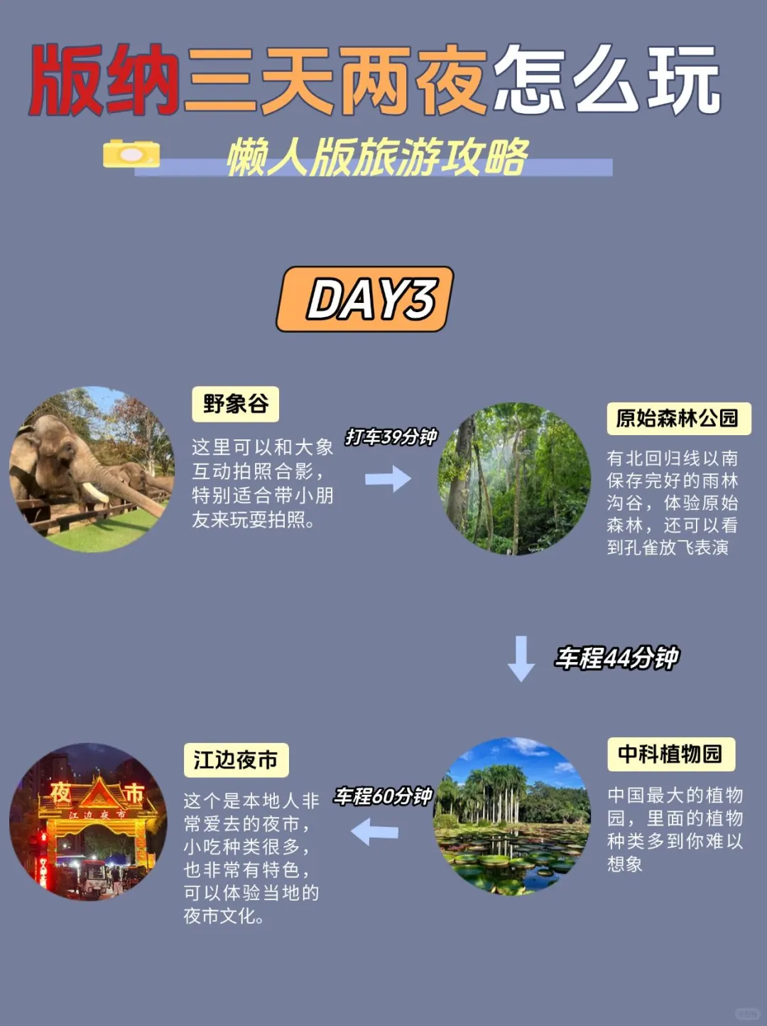 版纳懒人版旅游攻略！主打一个省时不绕路…