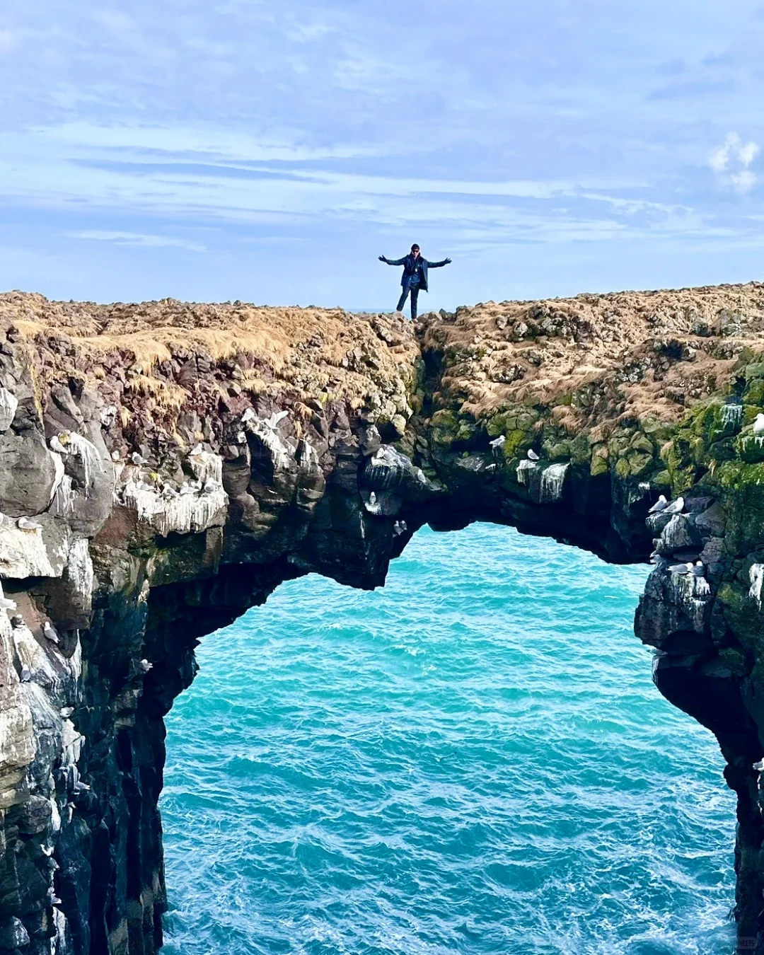 和老公去冰岛已回，我的感受与避雷