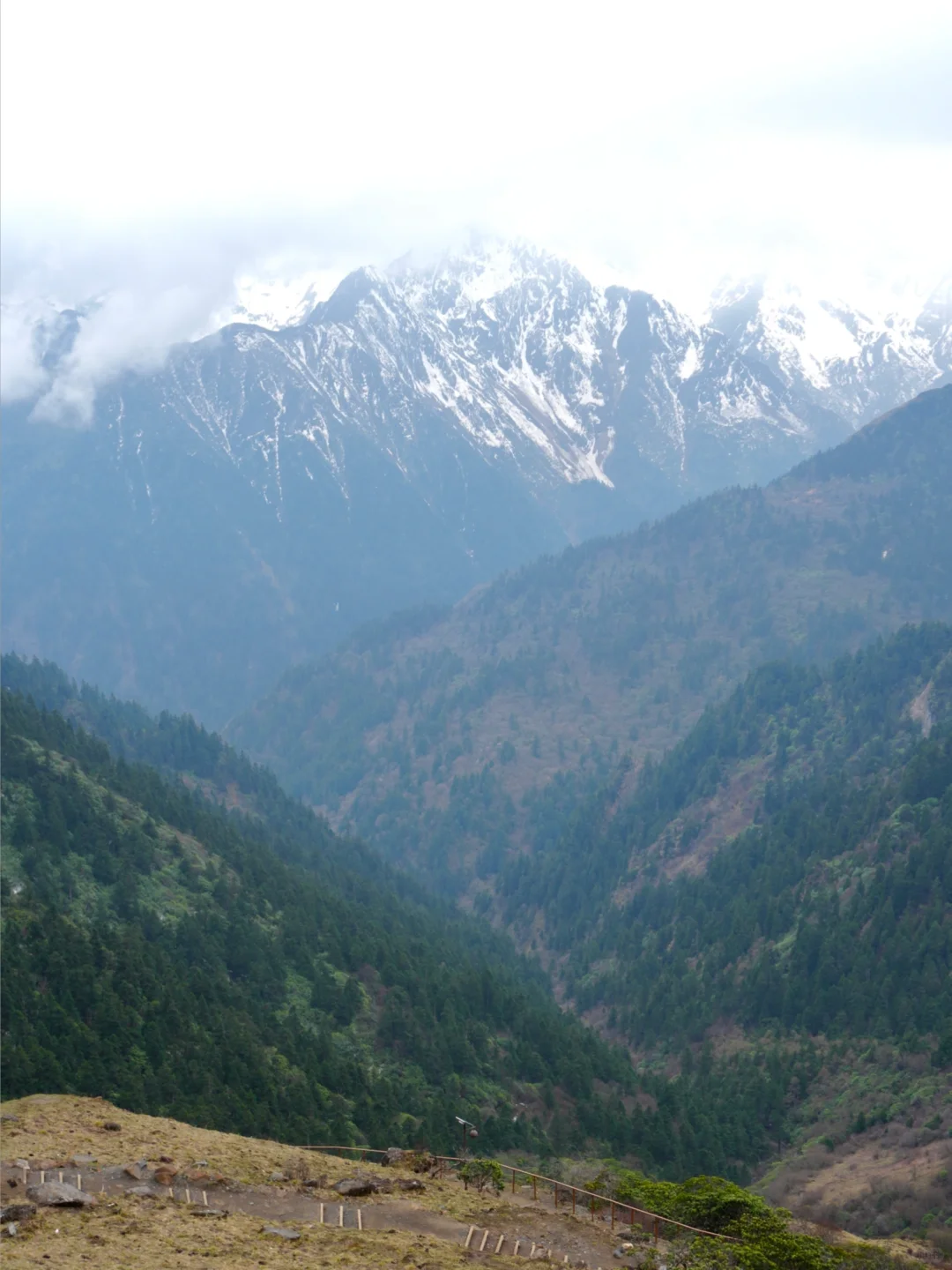 我在阿尔沟的雪山上找到了心动的感觉💓