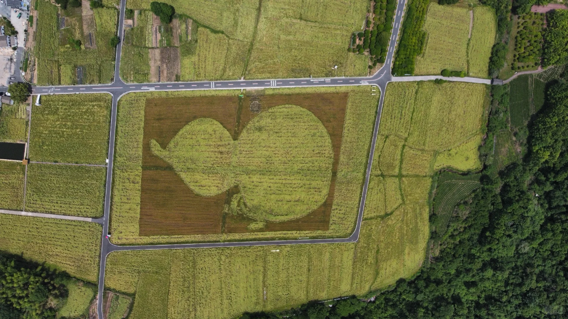 剑来，齐云山，道教名山！被低估的一座山！