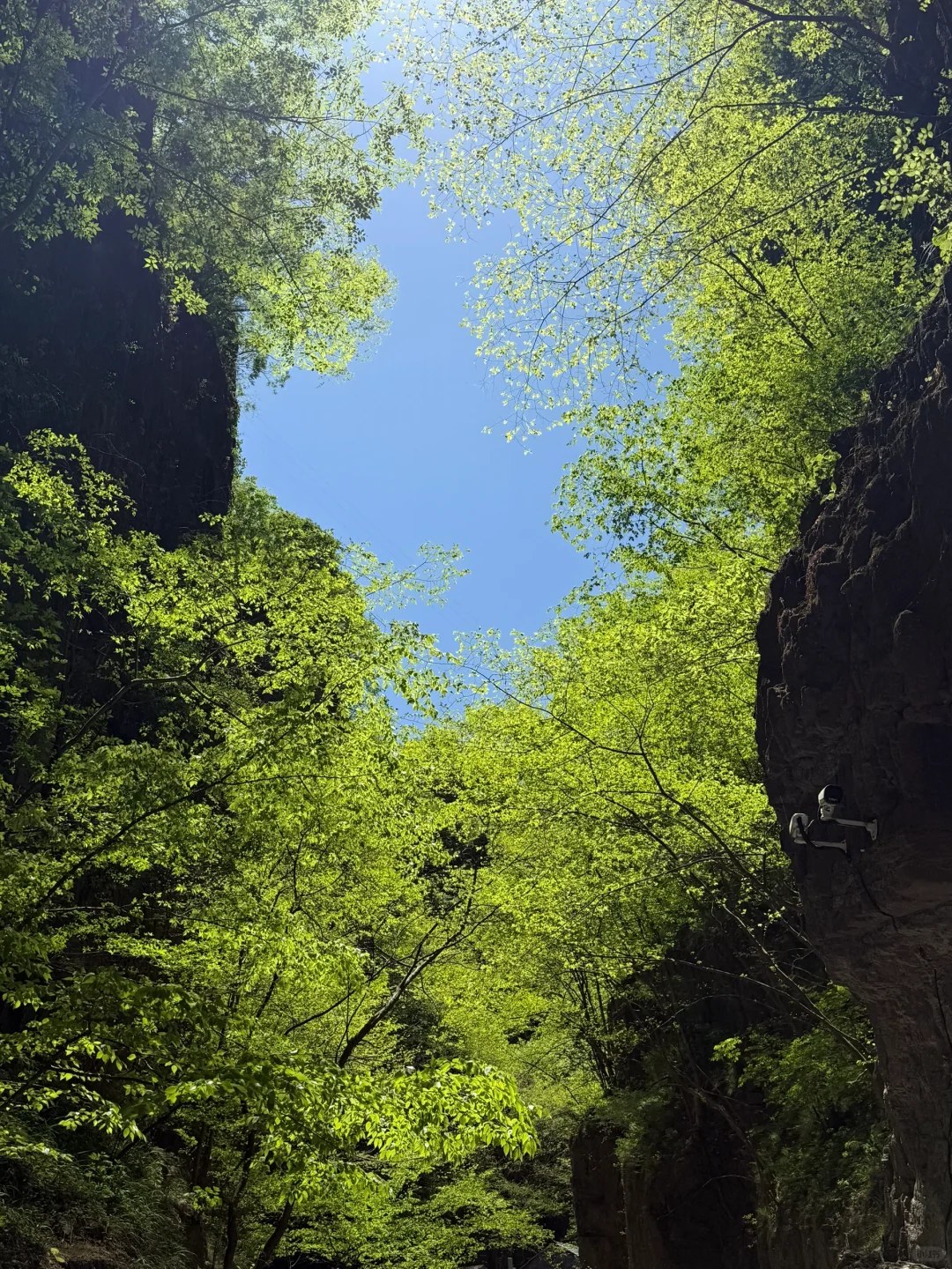 野三坡📍百里峡不会再去了 刘家河下次还来