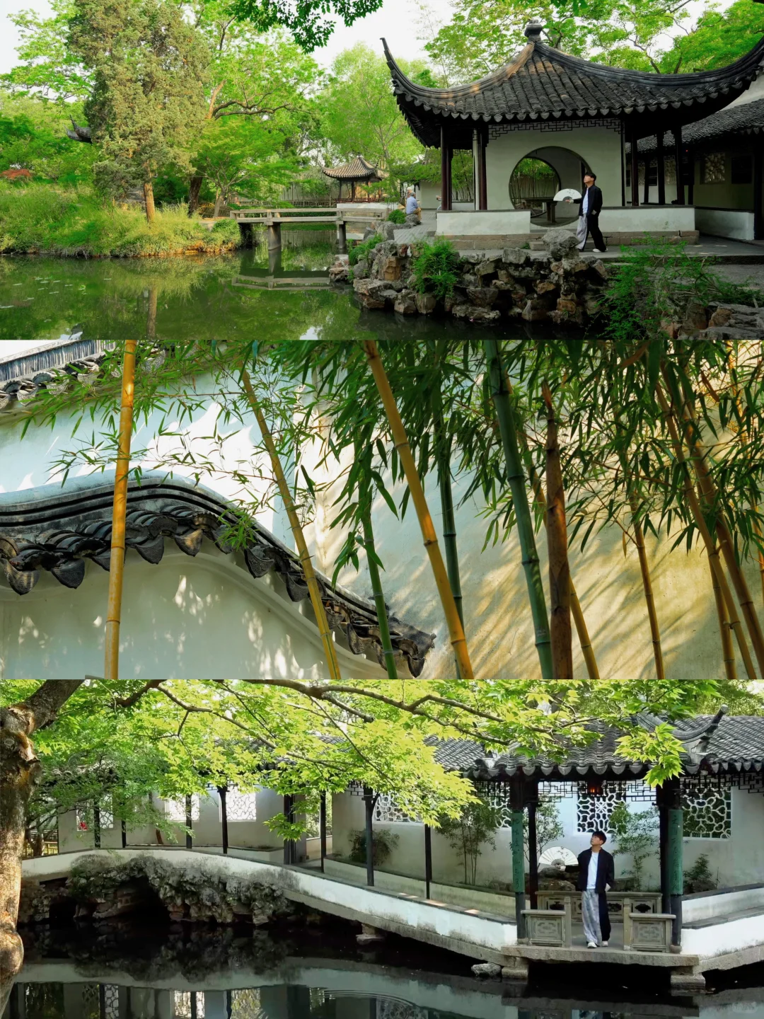 为了这1⃣️6⃣️张图，特地来了趟苏州