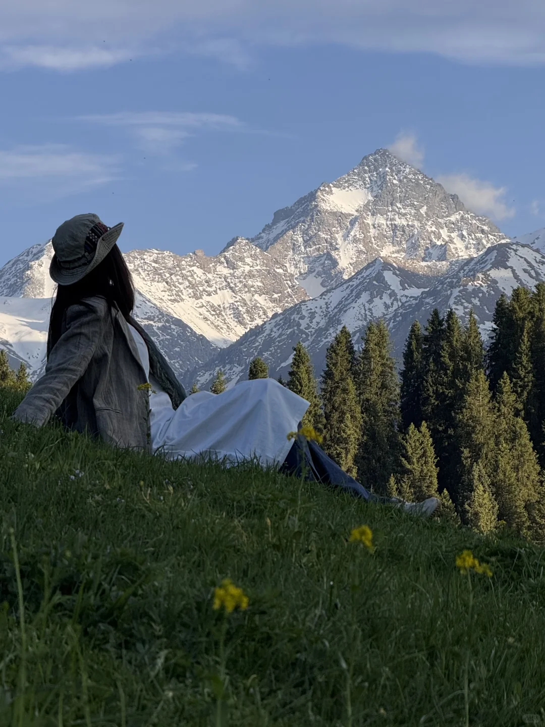 live｜新疆的初夏