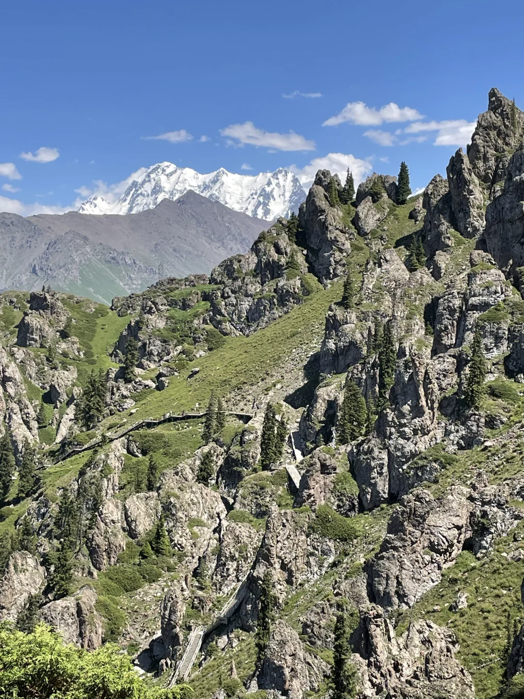 为什么今年大家都在劝退新疆？有这么糟糕吗？