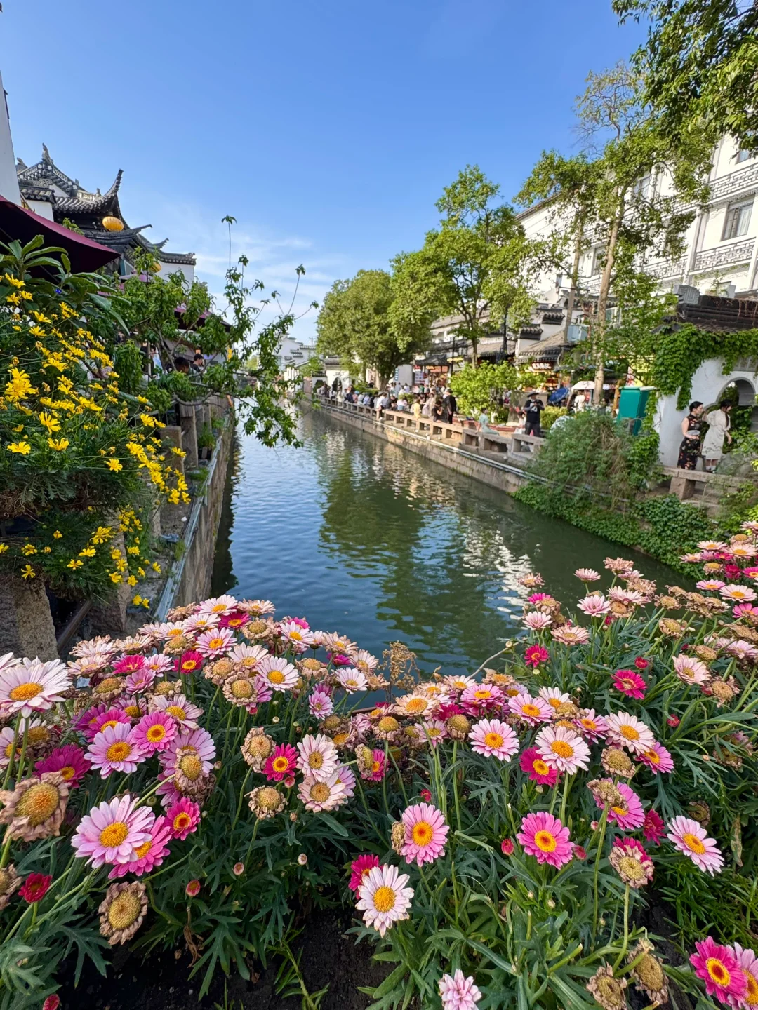 来苏州就为了拍这9个瞬间。。。附位置🥹