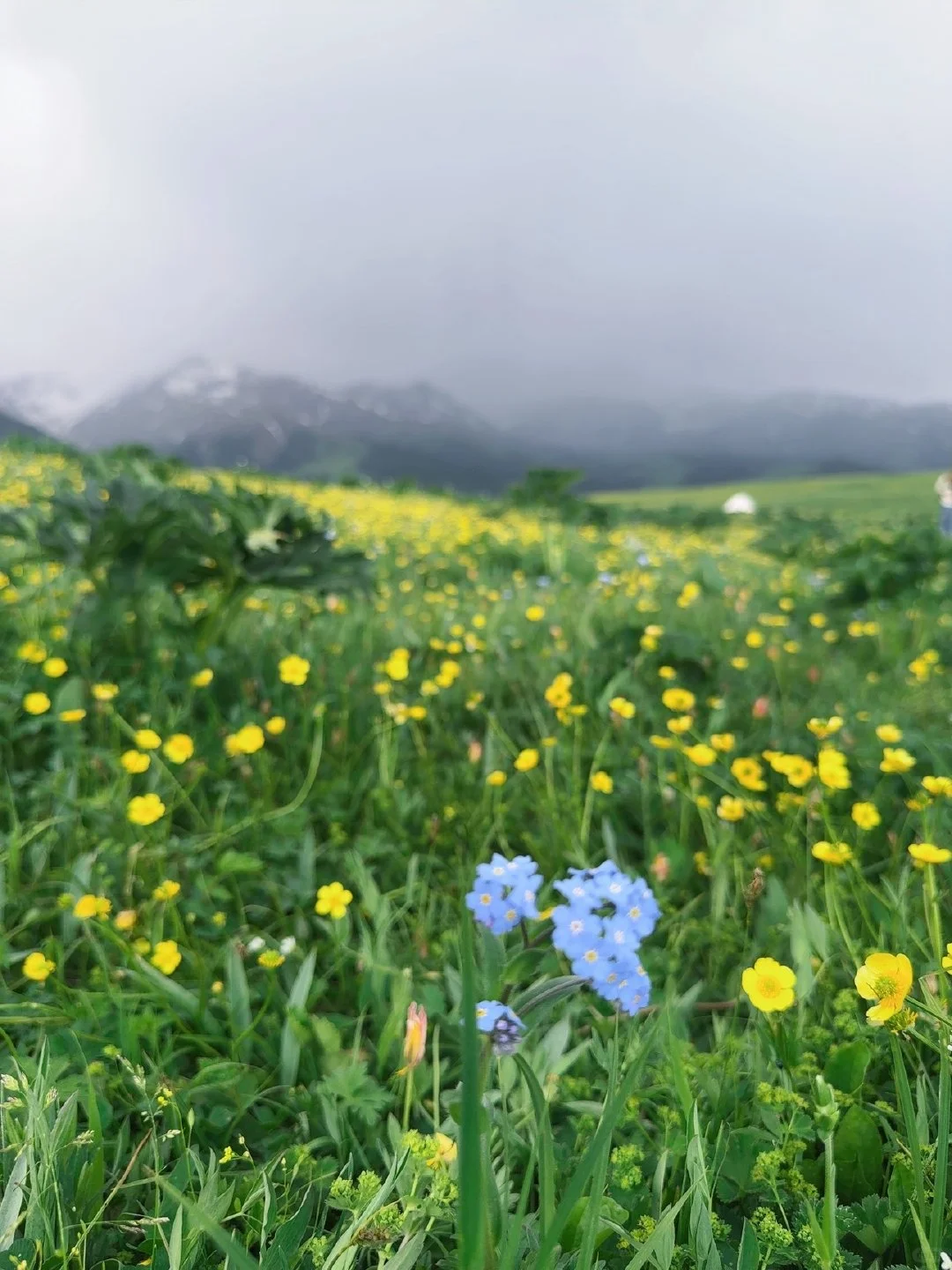 新疆伊犁小团已回，谈谈真实感受（8天7晚）