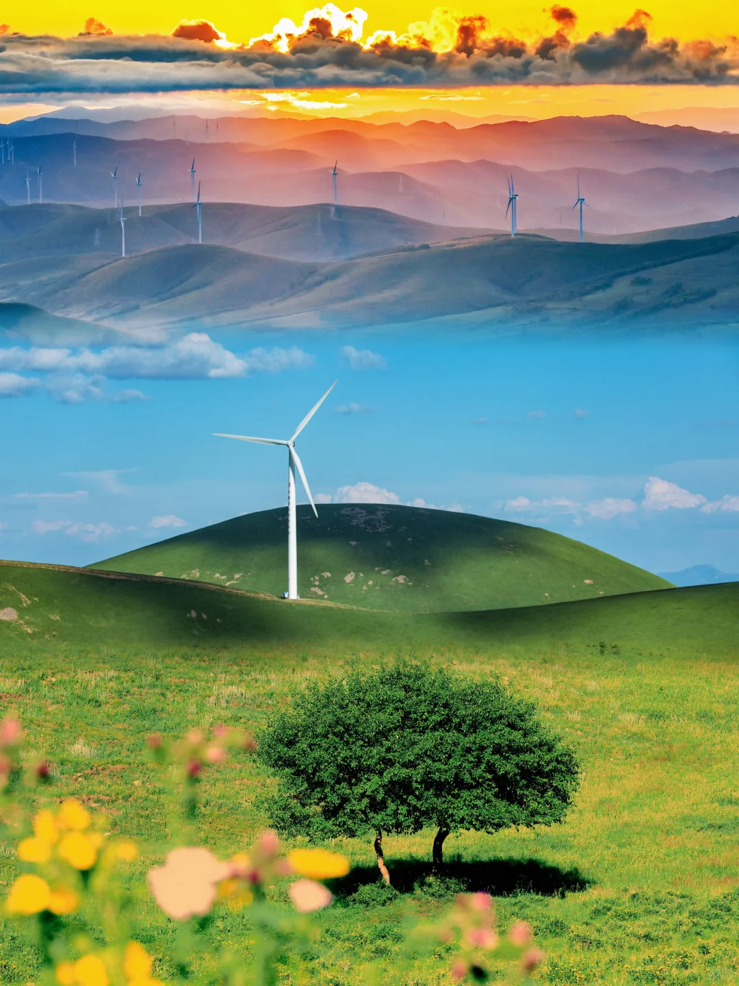 🌿误入上帝的后花园｜宫崎骏看了都得愣3秒‼️