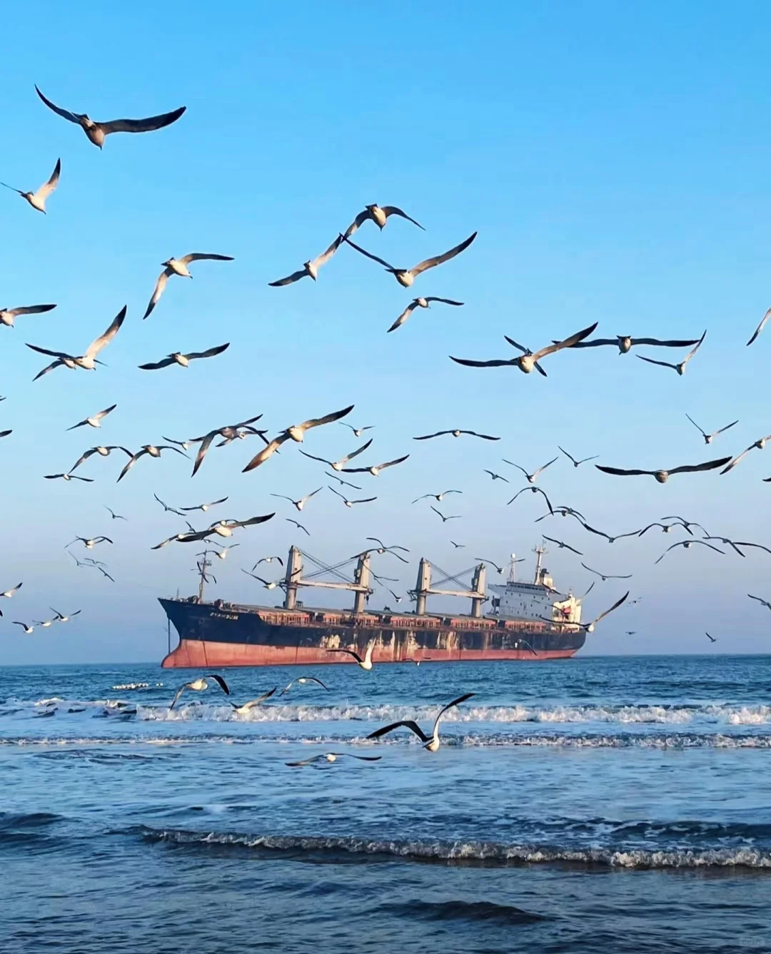 一起去旅行吧🚞🚃🚃🚃💨