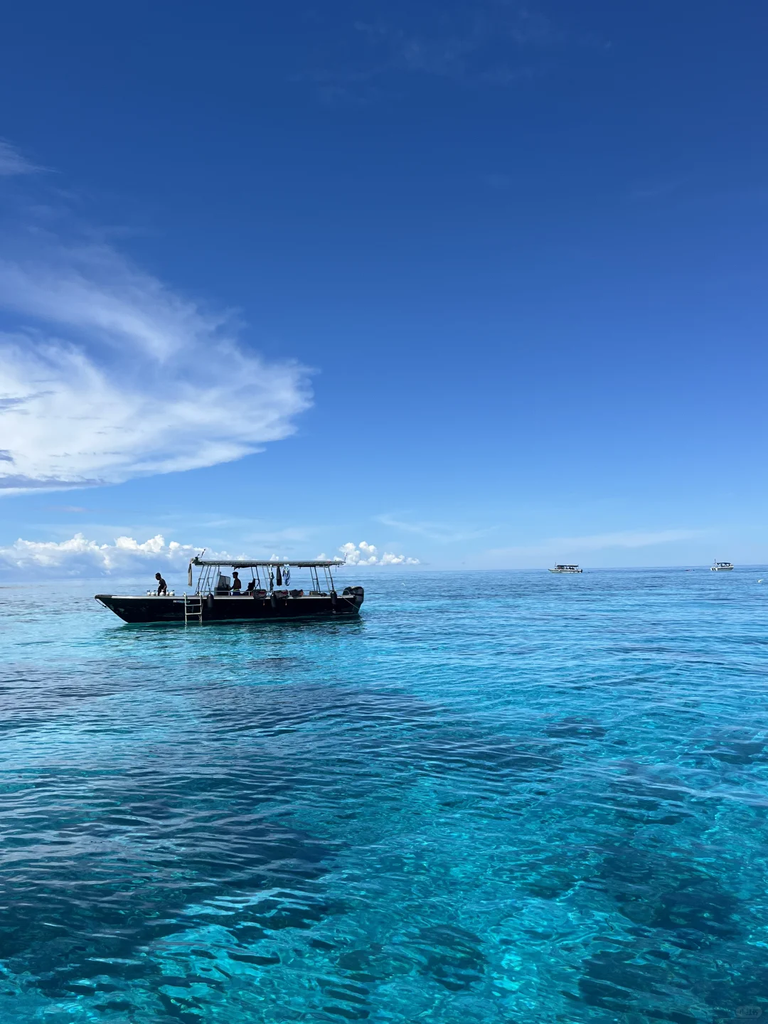 仙本那适合能吃苦的人（五一已回不删