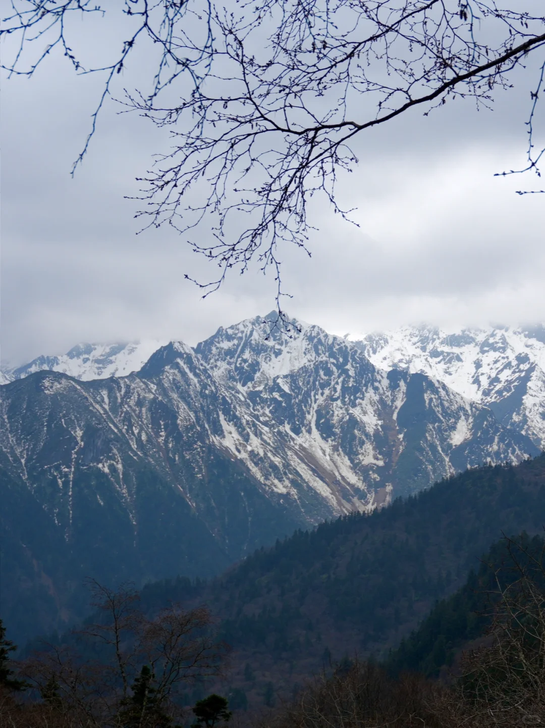 我在阿尔沟的雪山上找到了心动的感觉💓