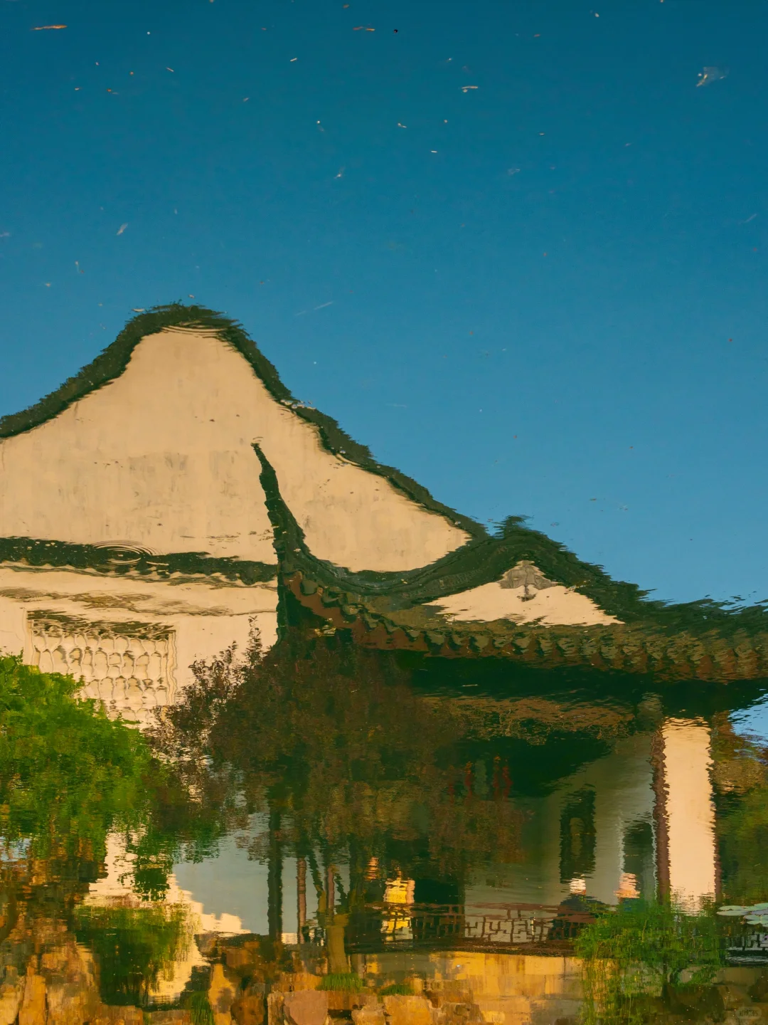 为了这1⃣️6⃣️张图，特地来了趟苏州