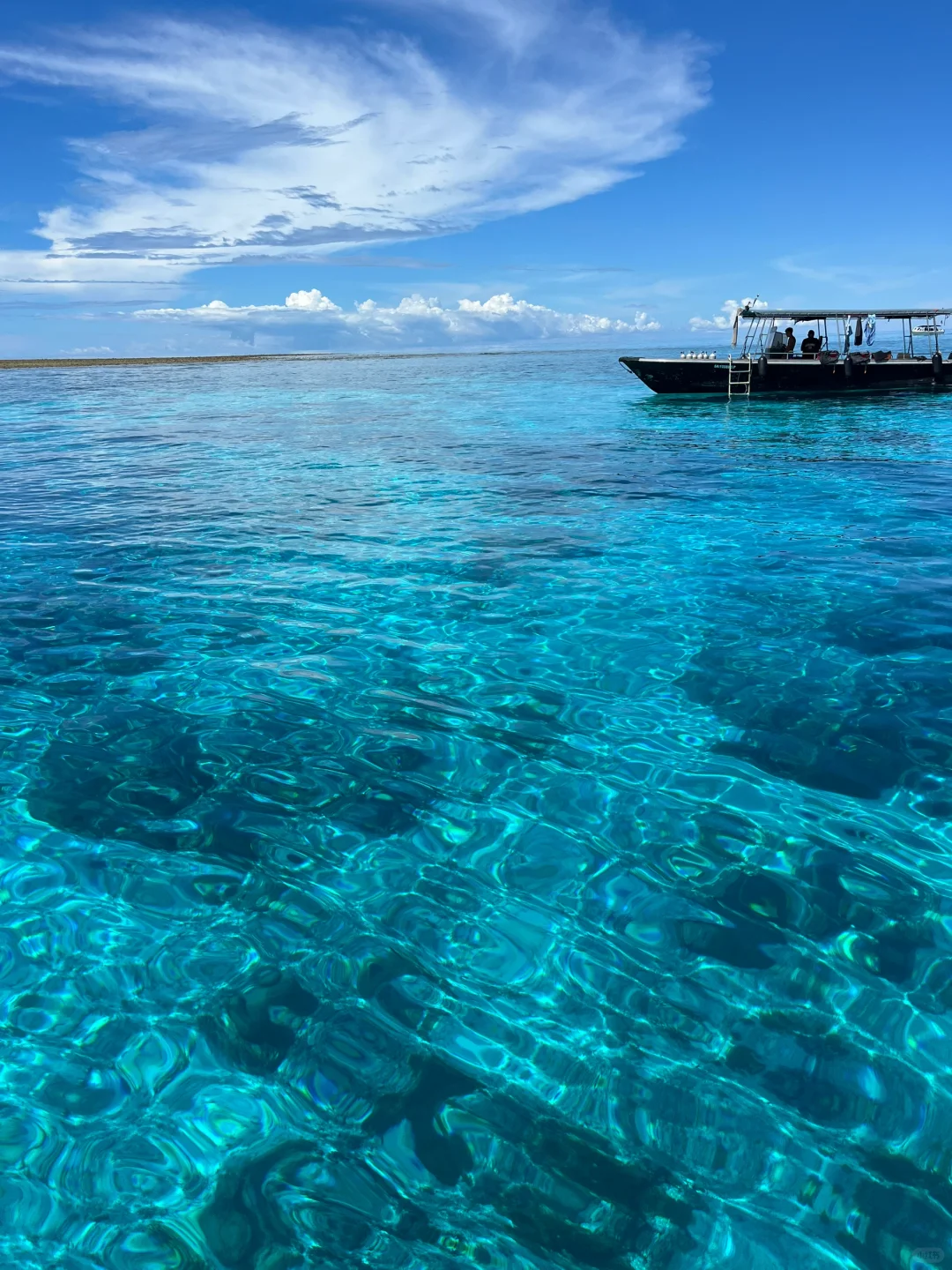 仙本那适合能吃苦的人（五一已回不删