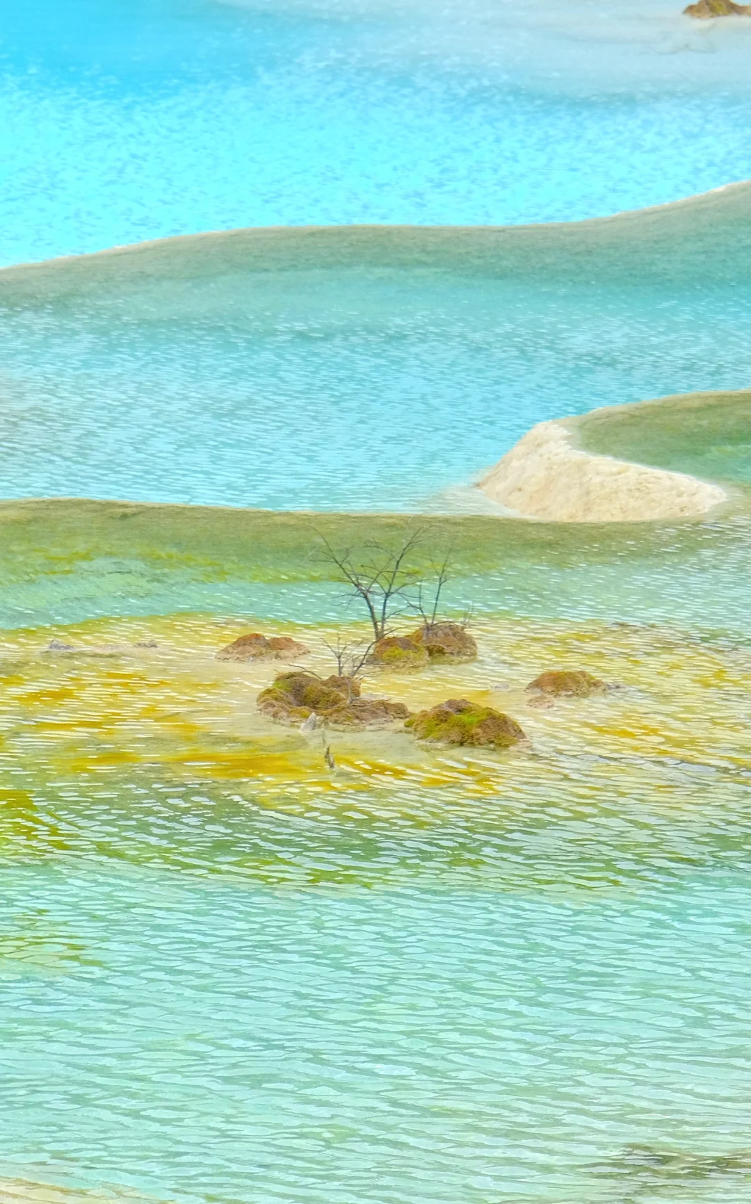 枯水期的黄龙真的不值得去吗