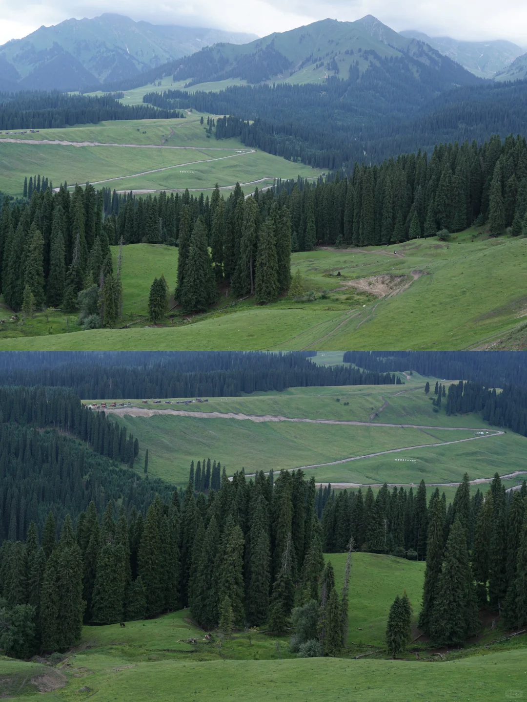 伊犁草原真没必要去太多