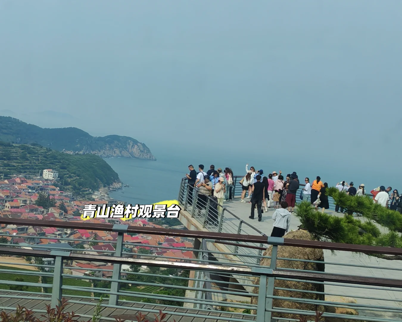 崂山景区环海路保姆级攻略来喽