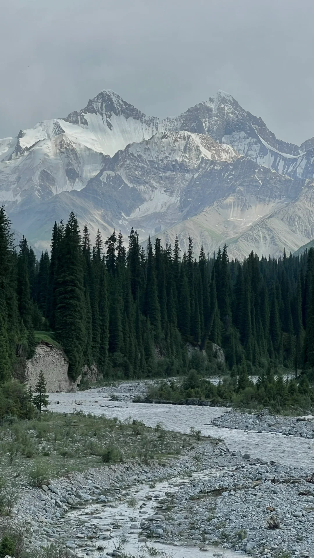 伊犁草原真没必要去太多