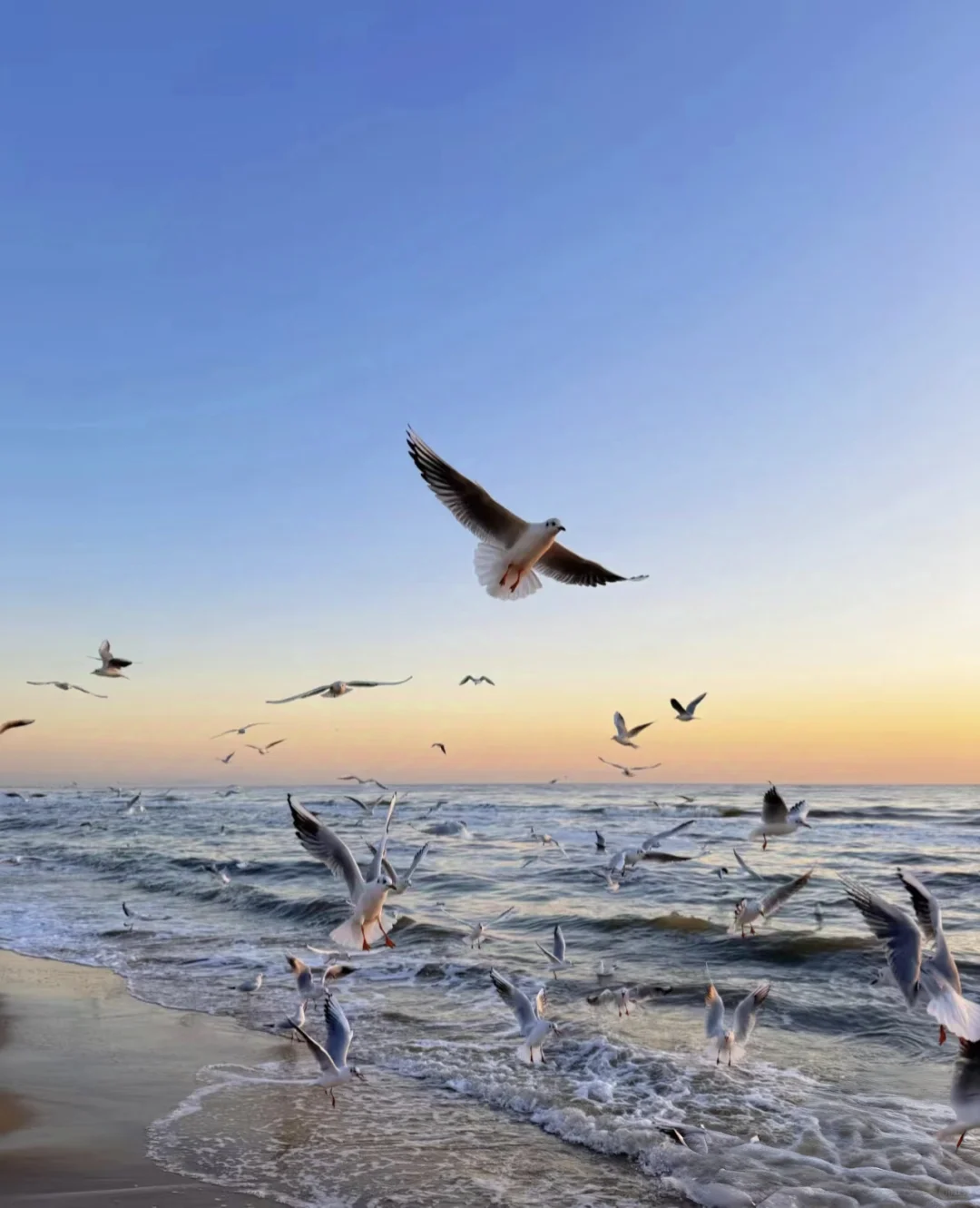 秦皇岛宝藏旅游攻略 | 北方海滨度假天堂