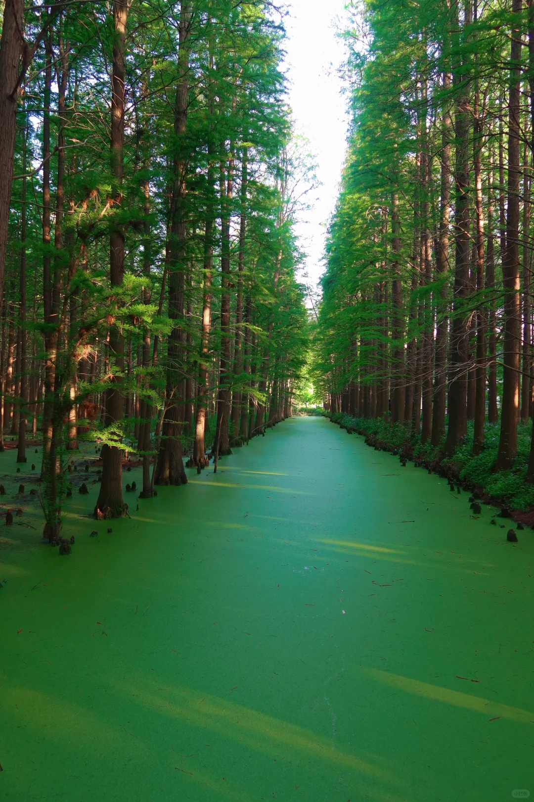 五一假期 | 淮安必打卡景点