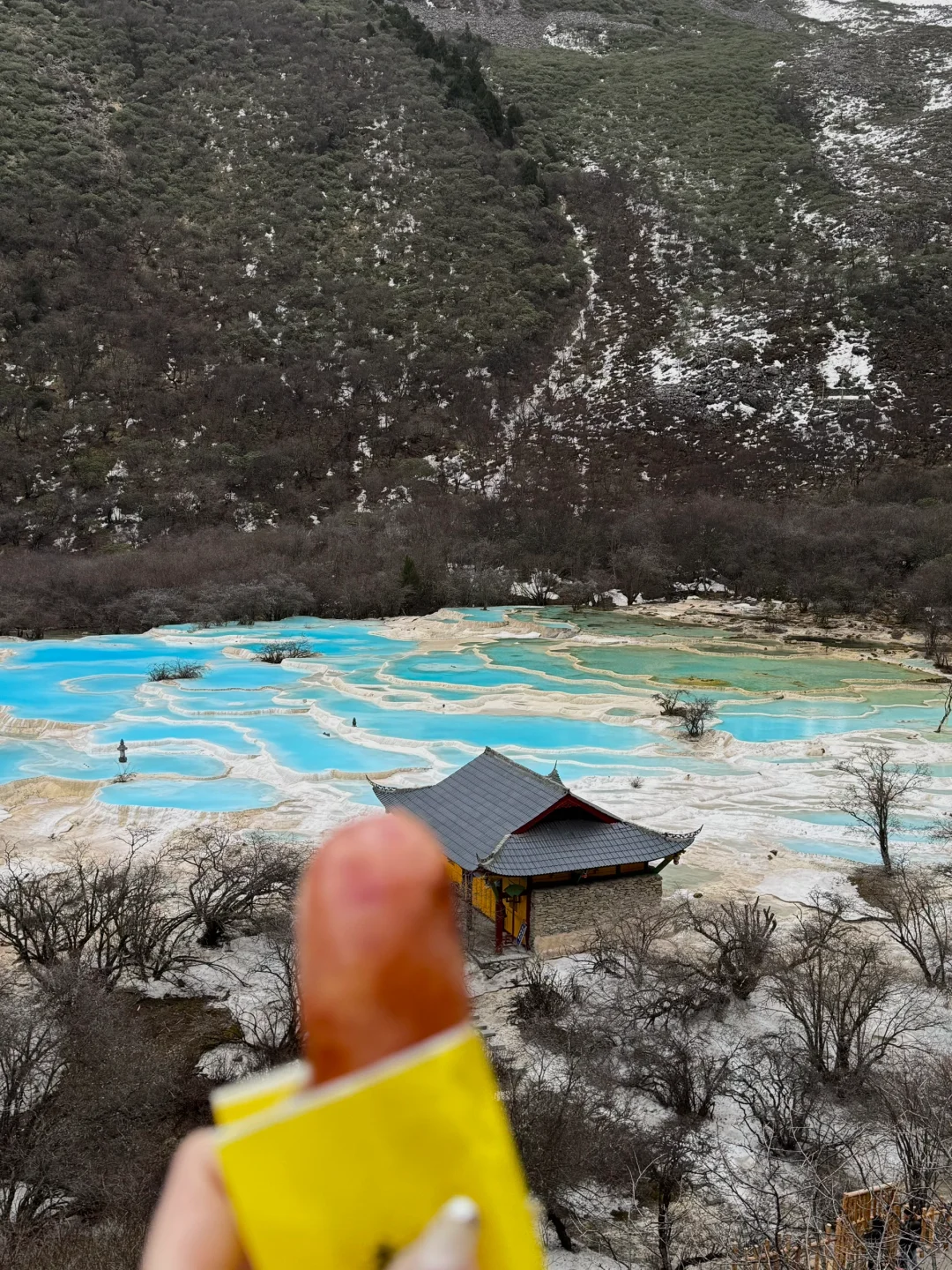 🍃黄龙·九寨 五彩池很美，但下次不来了