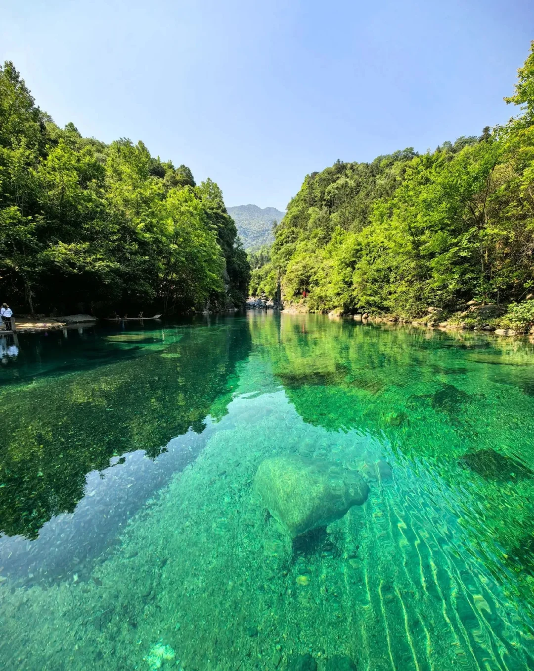 闯入5月绿野仙踪！