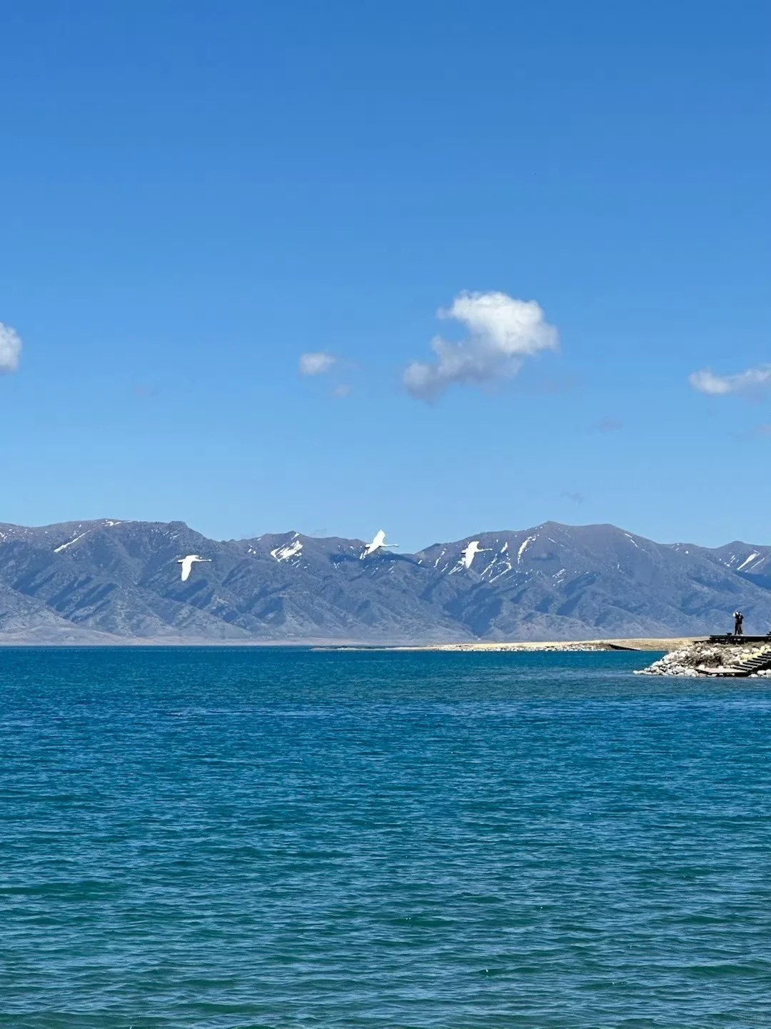 5.4📍赛里木湖现状，美到犯规，劝退不了一点…
