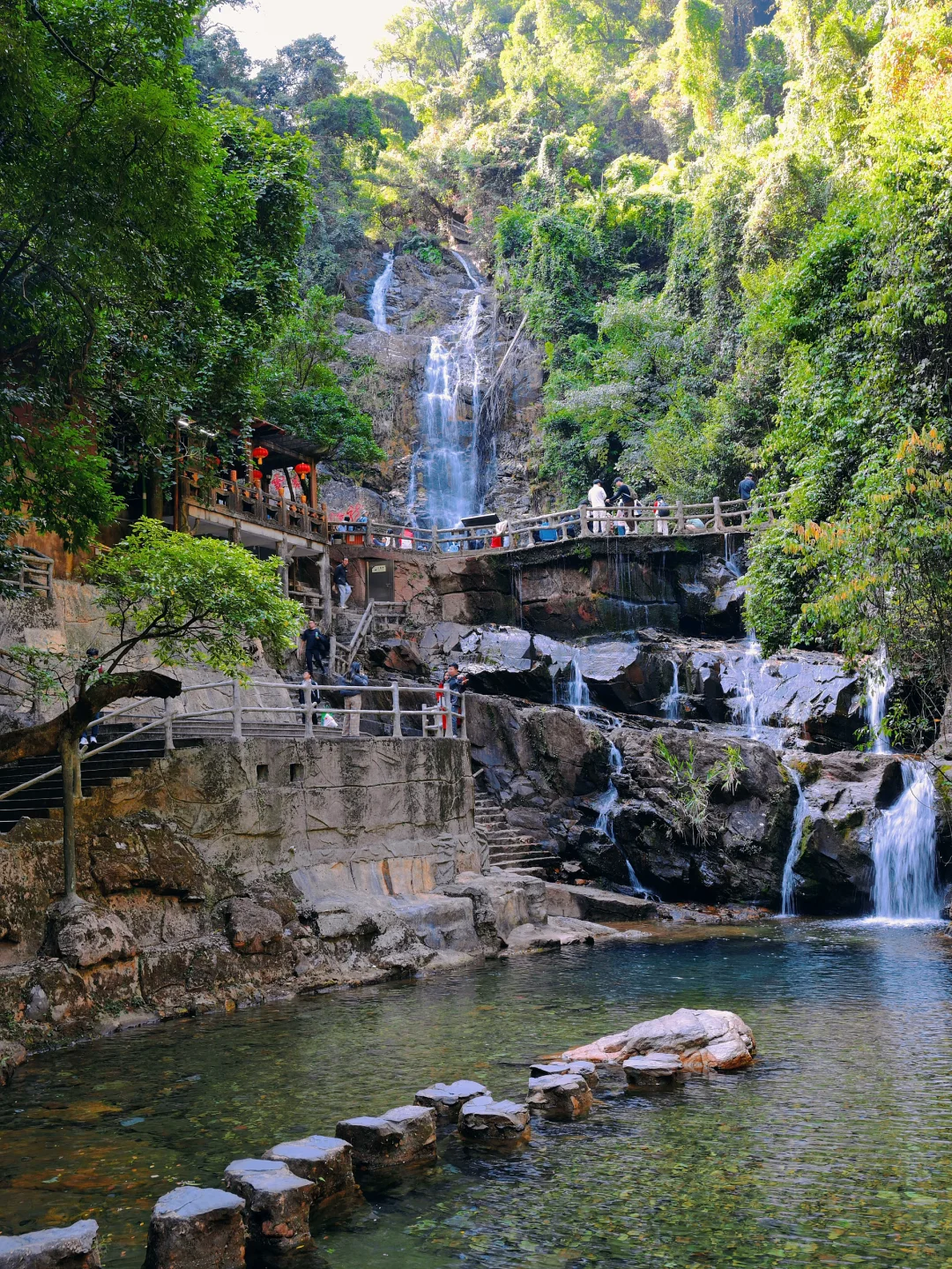 肇庆鼎湖山真的美到我心巴上了（省钱攻略！）