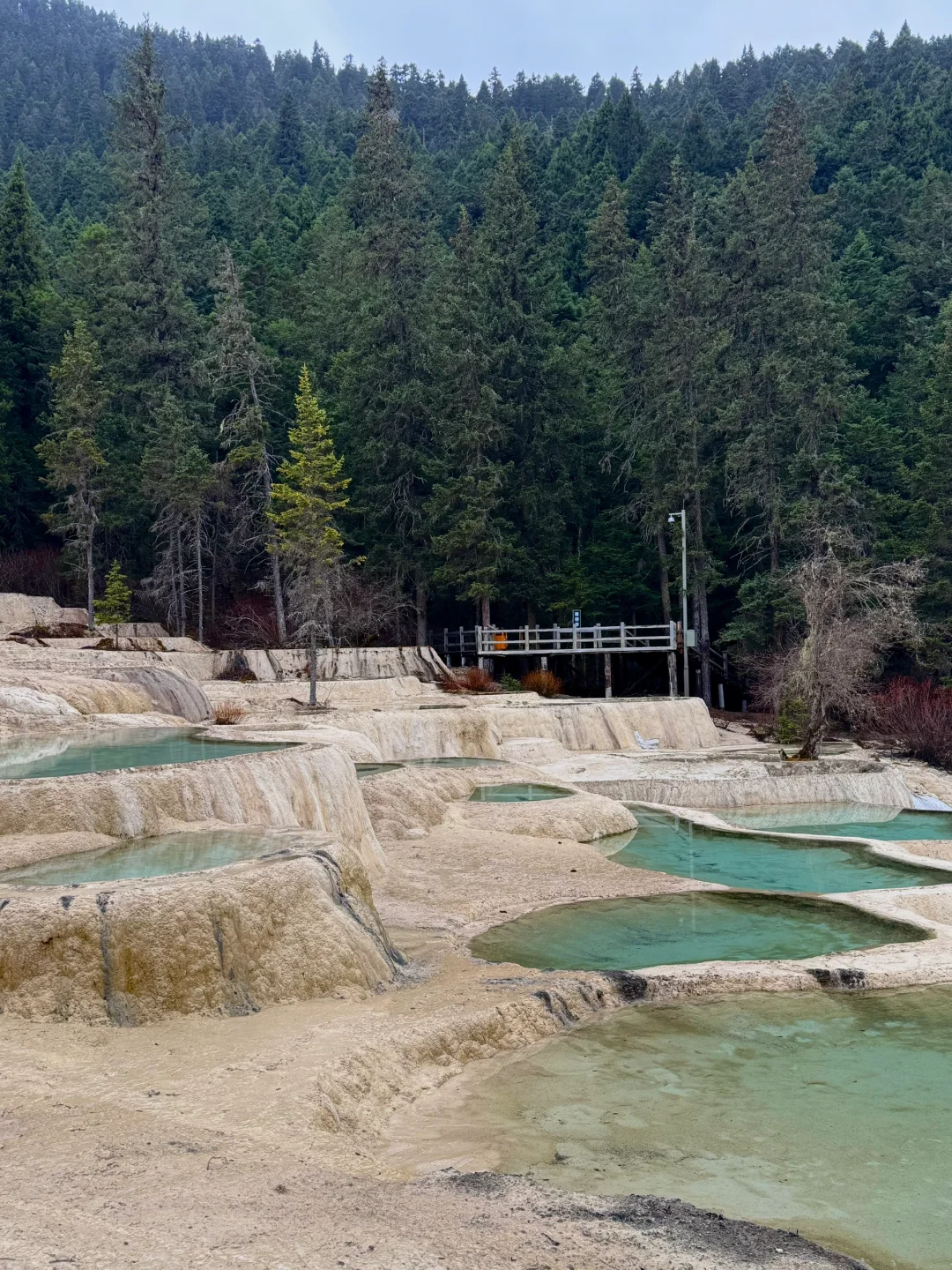 🍃黄龙·九寨 五彩池很美，但下次不来了