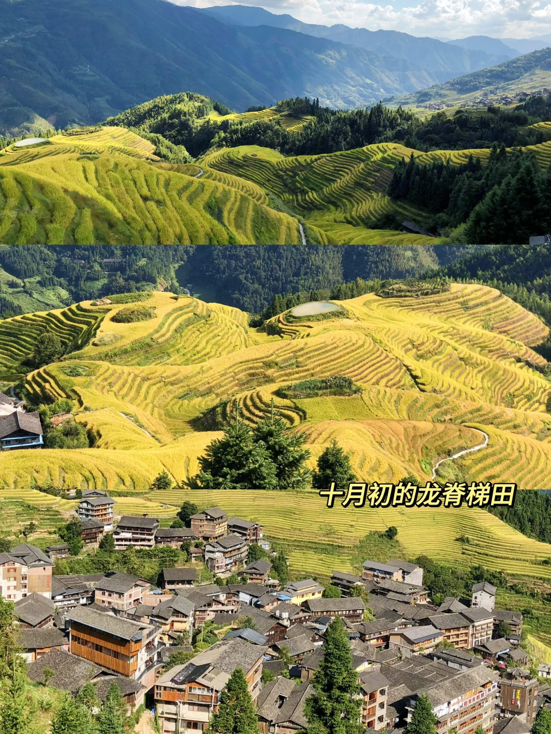 桂林阳朔|四天三晚|保姆级旅游攻略🔥