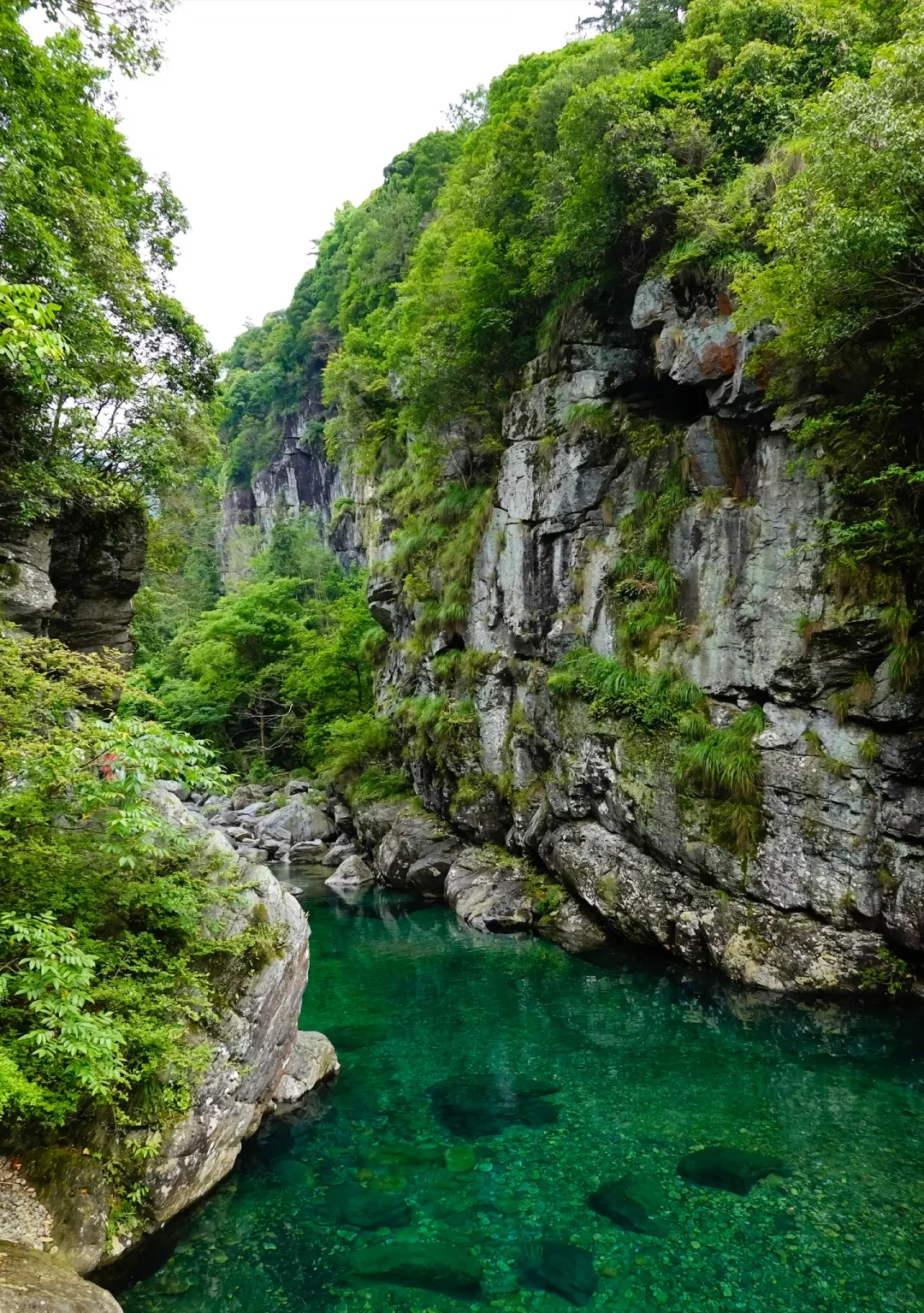 闯入5月绿野仙踪！