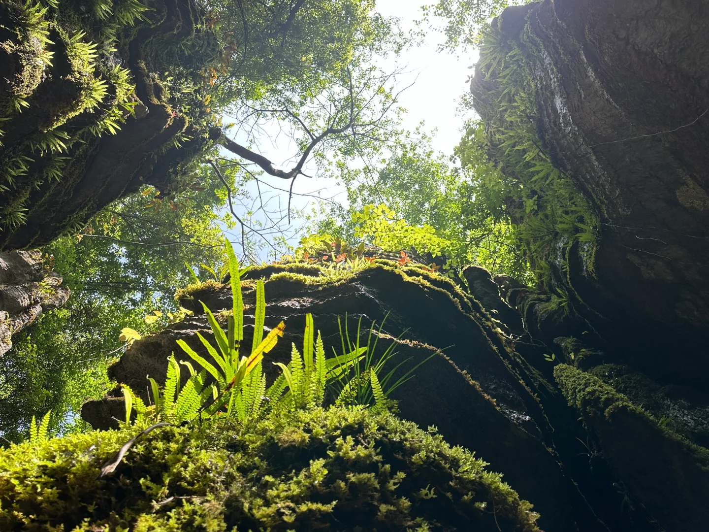 🌄 恩施4日游详细精华旅游攻略