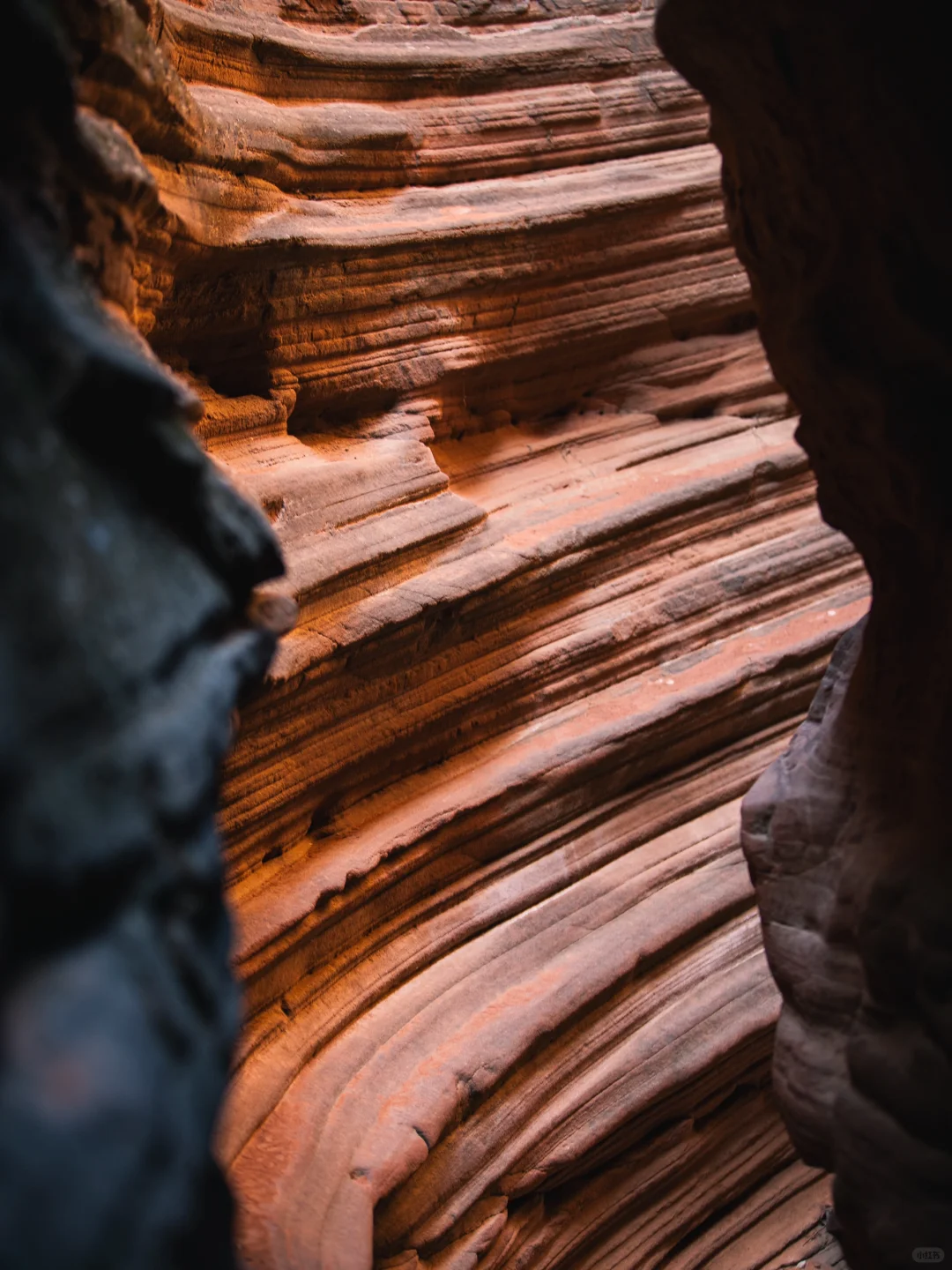 石上澜生，亿年奇观 | 榆林波浪谷