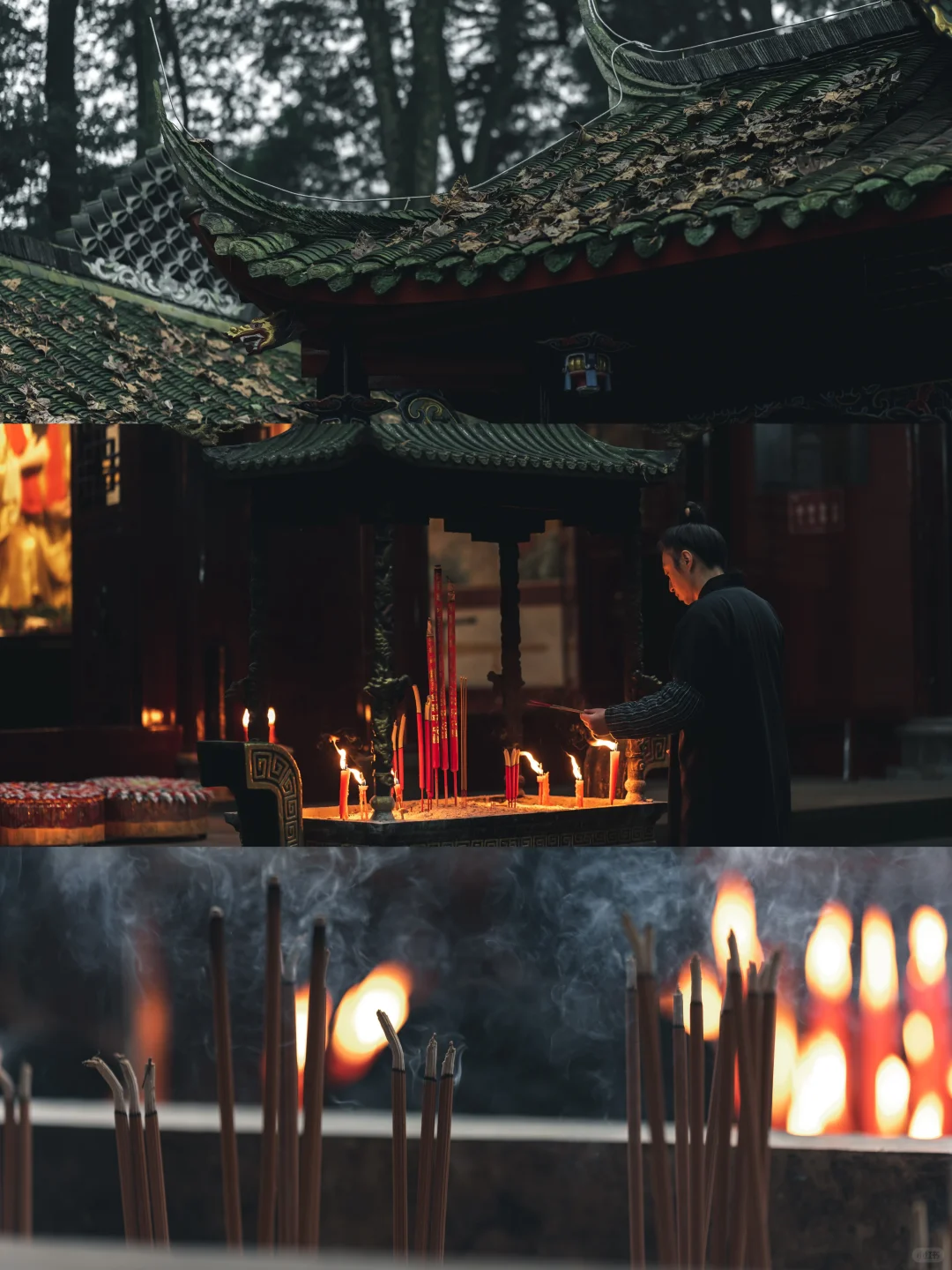 📷拜水都江堰，问道青城山