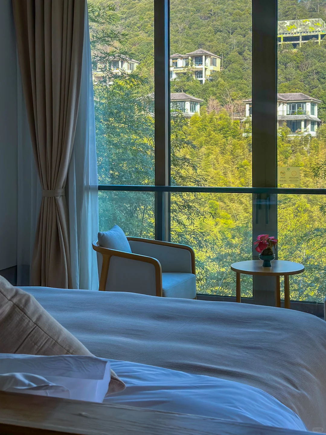 杭州1h直达！值得N刷的宝藏小城！春日攻略✅