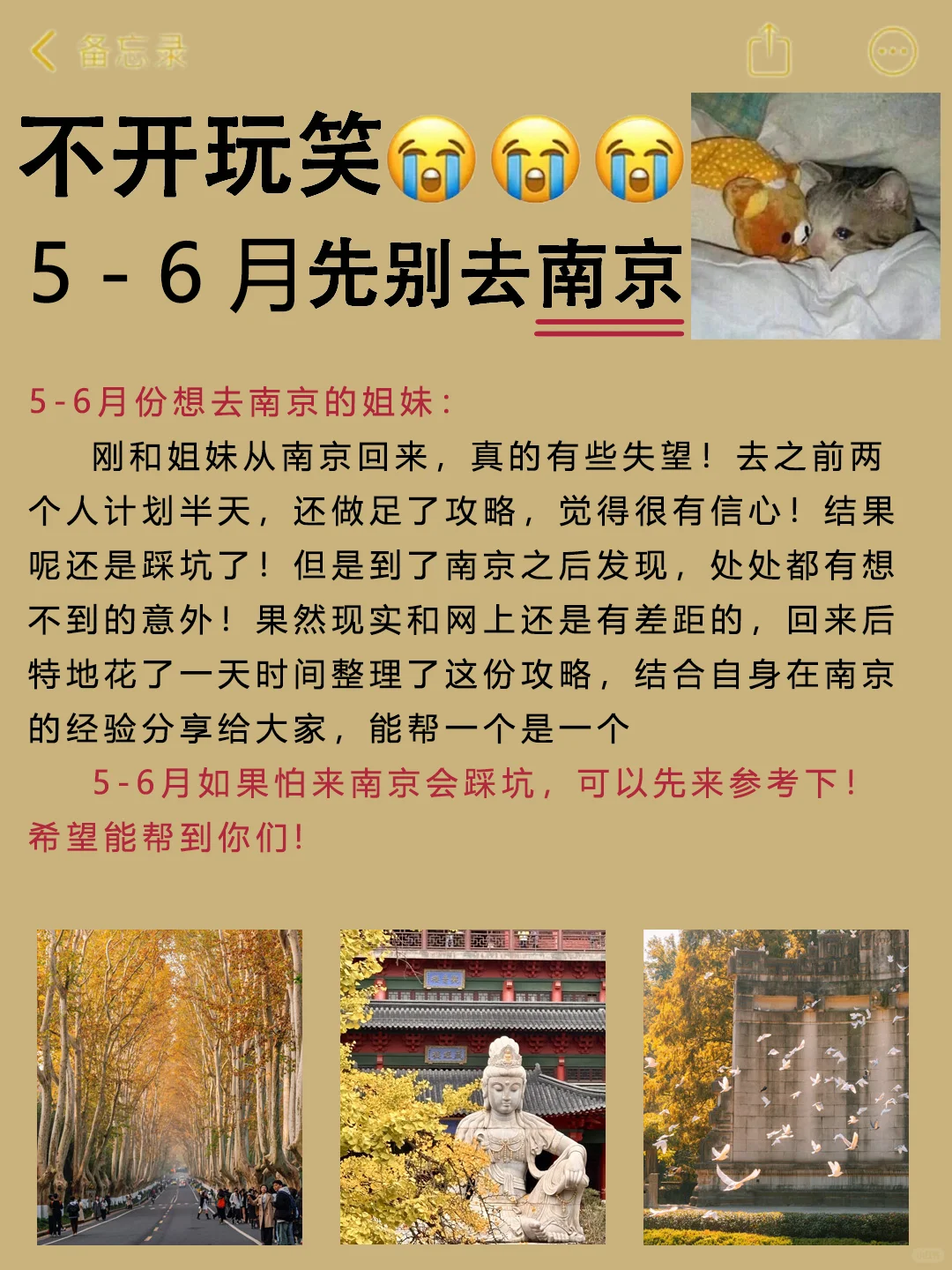 既然决定去南京，那这些大忌一定不要碰🈲