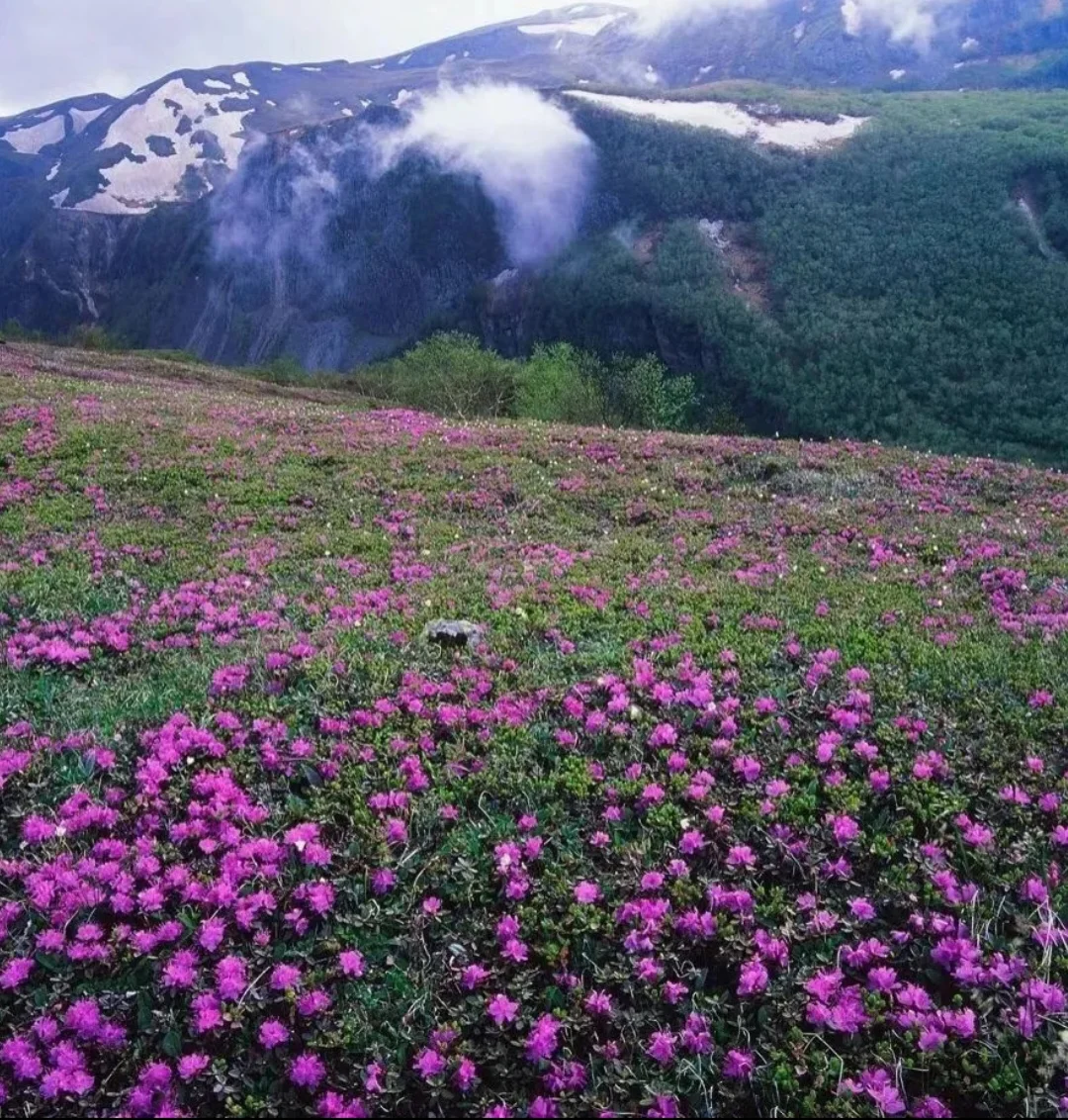 中国必去的第六站长白山