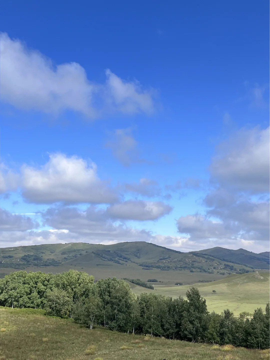 河北已回,我的建议是……