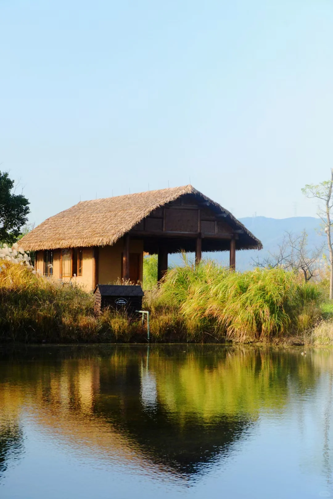 误入“宫崎骏漫画”世界